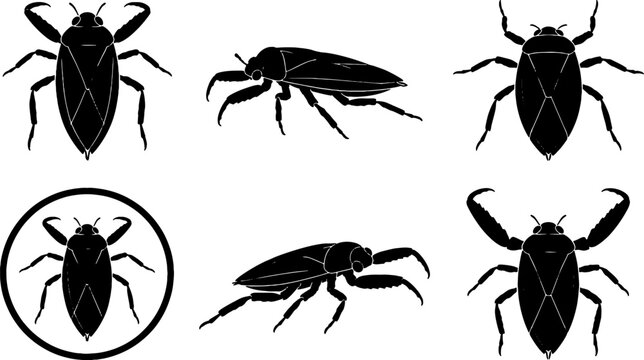 Giant Water Bug Black Silhouette Icon Set Aquatic Insect Vector Collection