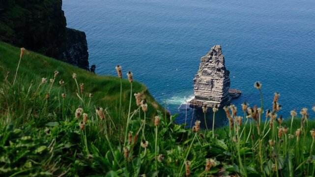 Scenic view of the Cliffs of Moher, Ireland, featuring a dramatic sea stack rock rising from Atlantic Ocean framed by lush green coastal grass. Iconic Irish landscape, rugged cliff, crystal blue water
