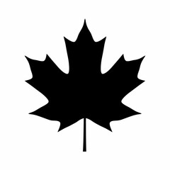 Fototapeta premium maple leaf silhouette