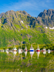 Fototapeta premium Fishing boats and ships anchored in a sea bay at Lofoten islands, Norway. Vessels reflecting on the calm water surface during summer.