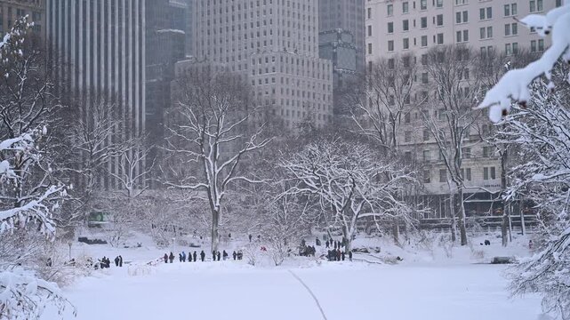 Frozen lake in Central Park New York during winter season. People walk on a white field of ice surrounded by snow covered trees. Tall buildings rise in the background.