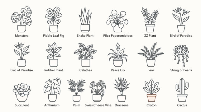 Plant icons, houseplants, potted plants, botanical illustrations, 25 plant species