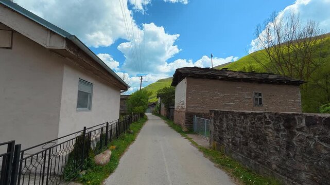 Countryside path leads between modest homes. Dojkinci village, Serbia
