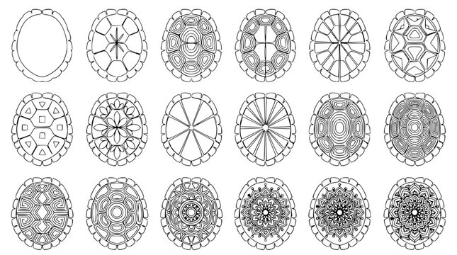 Collection of Turtle Shell Patterns, Top View, Line Art, Geometric Designs