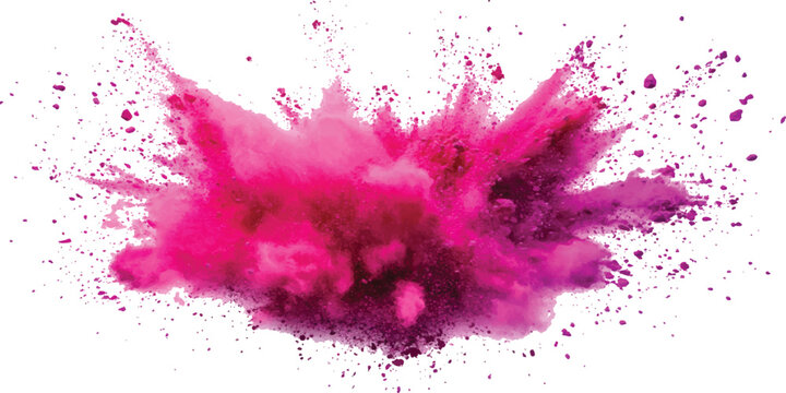 Vibrant pink holi powder explosion and dust cloud burst color splash on white background vector illustration.