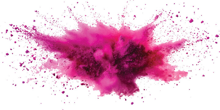 Vibrant pink holi powder explosion and dust cloud burst color splash on white background vector illustration.