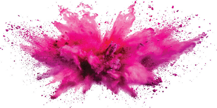 Vibrant pink holi powder explosion and dust cloud burst color splash on white background vector illustration.
