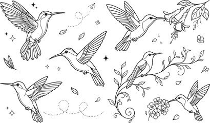 Hummingbird flying and sitting on branches floral elements vector outline set for kids adult coloring page © MstLaky
