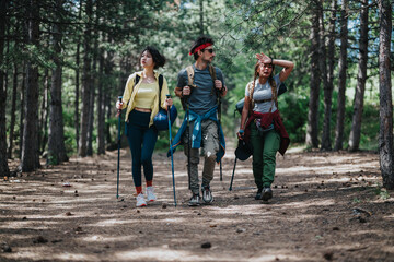 Fototapeta premium Three hikers walk side by side on a shaded forest trail carrying backpacks and trekking poles. A casual outdoor group hikes through pine woods enjoying a summer trek.