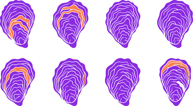 Purple Oyster Shell Collection with Orange Details Vector Illustration for Seafood Restaurant Menus, Marine Biology Education & Coastal Branding (EPS)