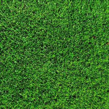 green grass texture background