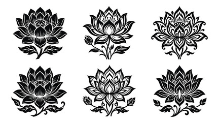 Fototapeta premium Adobe Illustrator Artwork