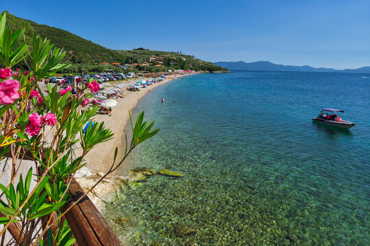 Panoramic view with flowers to Ampovos beach(Paralia Ampovos) with blue turquoise waters in Afissos, Pelion, Greece