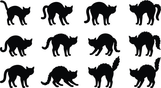 Twelve black cat silhouettes in arched back and defensive poses isolated on a white background, for halloween themed
