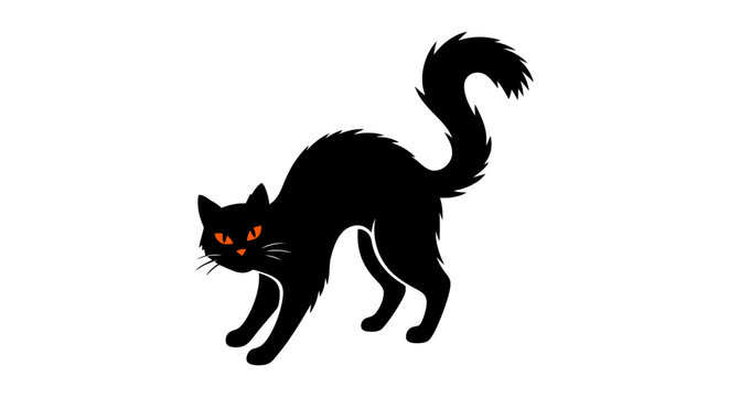 Silhouette of a Playful Black Cat with Bright Eyes.