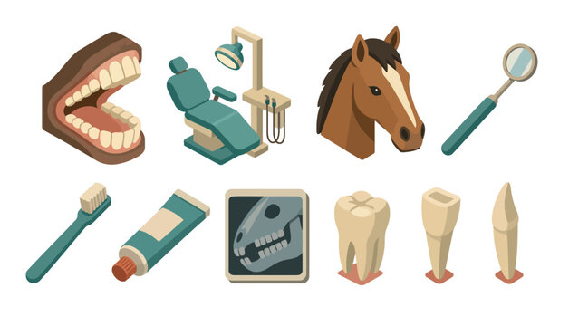 Dental Care Horse Tooth Brush.