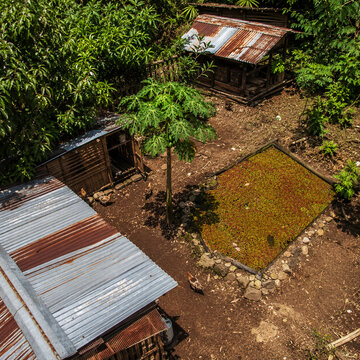 Aerial view of traditional bamboo chicken coops and azolla pond surrounded by tropical trees