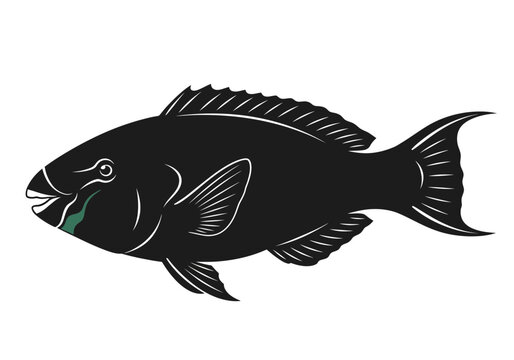Black Fish Side Profile Illustration.