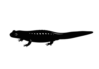 Obraz premium Black silhouette of a small salamander.