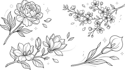Elegant floral line art vector set with blooming peony cherry blossom branch magnolia buds and calla lily outline drawings © MdMursalin