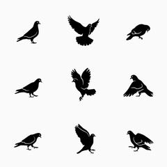 Fototapeta premium Pigeon and dove silhouettes flying bird icons set isolated on white background vector illustration