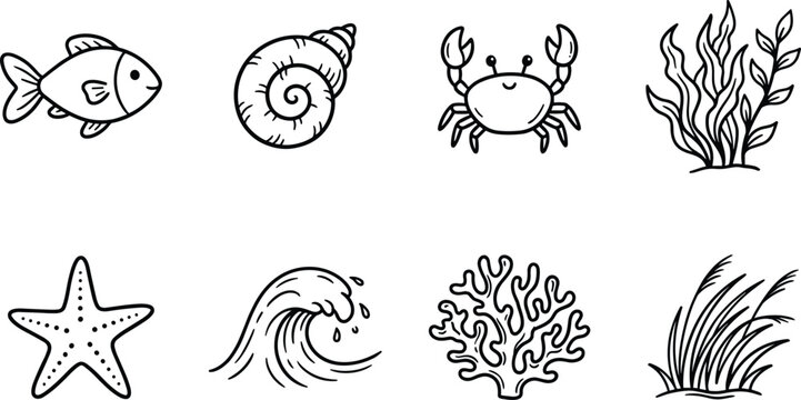 Charming sketch of marine life fish shells crabs coral and seaweed in a nautical illustration