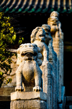 Stone Lion Statues at Beiyue Temple, Quyang County, Hebei Province, China