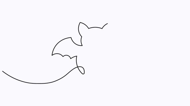 Bat single line drawing animation 4k motion graphics on white background