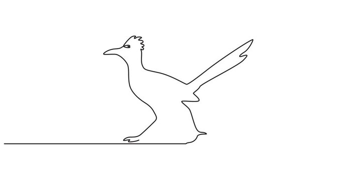 A roadrunner bird animation continuous one line drawing, Full length one line animation. 4K, Animated self  drawing of continuous line draw roadrunner bird. One line drawing animation with alpha