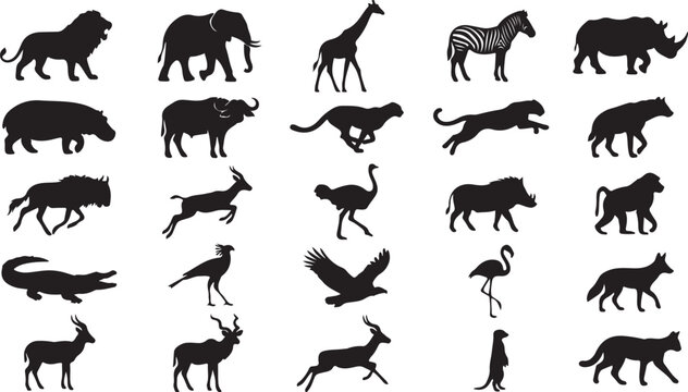 Collection of African wildlife silhouettes featuring various mammals birds and reptiles in black isolated on white background