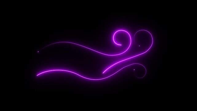 Neon Decorative swirling flourish line elegant ornamental flourish swirl divider decorative design element, 4k video.