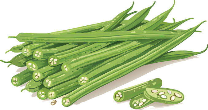 Fresh green beans bunch and sliced pieces illustration with string beans vegetable garden raw food vegetable ingredient nutrition vegetarian isolated illustration engraving detailed
