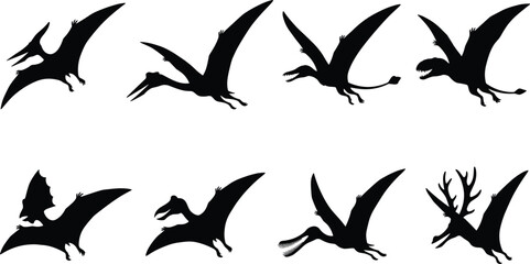 Pterosaur Dinosaur Silhouette Set with Flying Prehistoric Reptile and Fantasy Creature Poses © Mokshad Ali