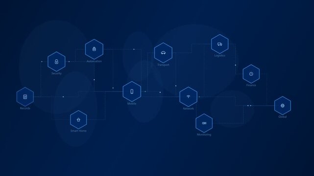Internet of Things Hexagonal Network with Connected Data Points and Diverse Applications