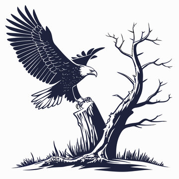 Bald eagle landing on dead tree stump graphic illustration with branches predator wildlife