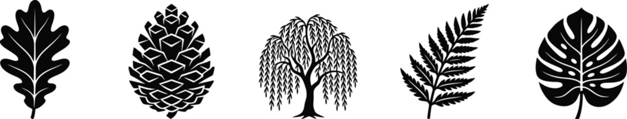 Nature botany elements set with oak leaf pine cone willow tree fern and monstera foliage icon. © Sana