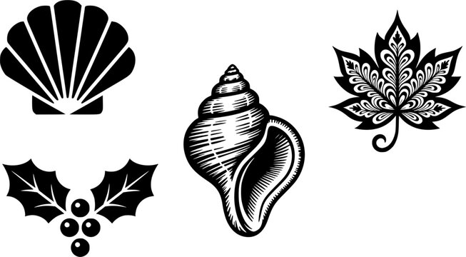 Minimalist nature design element vector silhouette and ornate line art set featuring a classic scallop seashell, a highly detailed spiral conch sea shell with crosshatch shading, a decorative paisley 