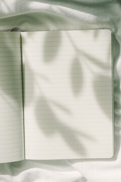 Notebook in Sunlight
