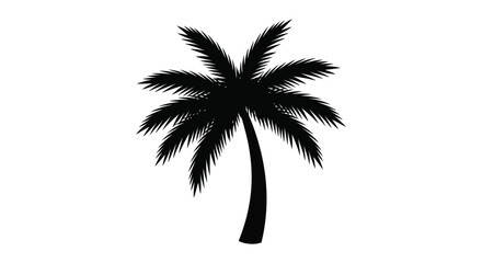 Palm tree silhouette against a white background tropical vegetation design © MBHM Studio