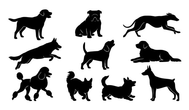 Nine dog silhouettes vector set in different poses isolated on white