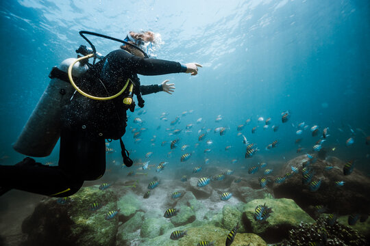 Young Scuba Diver Pointing at Fish School Over Rocky Reef