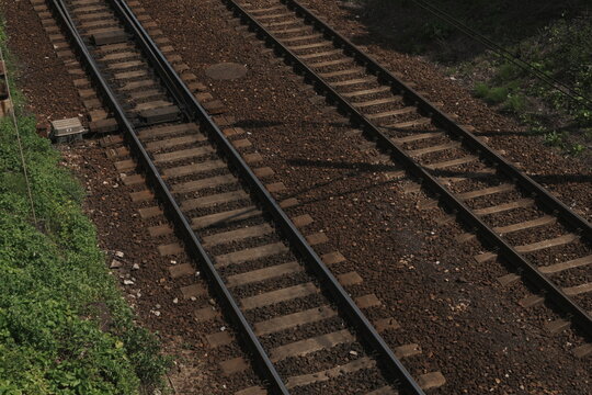Overhead View of Parallel Railway Tracks Disappearing Into Lush Green Vegetation Suggesting Travel and Journey Through Nature