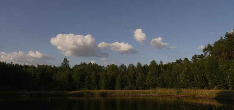 Serene Lake Reflection of Lush Green Forest and Blue Sky with Fluffy Clouds Peaceful Natural Landscape for Tranquility and Nature Concepts