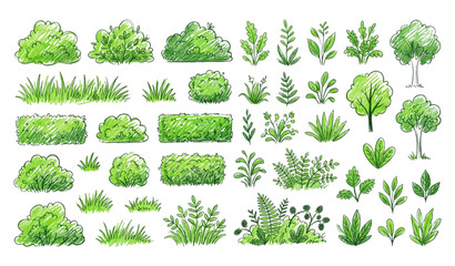 Hand Drawn Bushes and Grass Collection with Green Crayon Doodle Foliage Vector © Mehedi