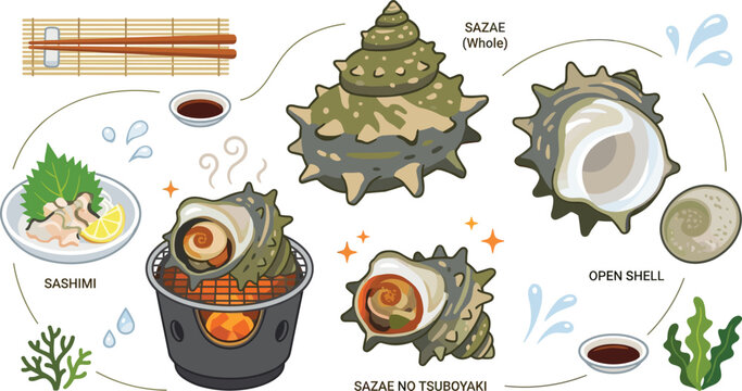 Traditional Japanese Grilled Sazae Tsuboyaki Horned Turban Snail Seafood Set Vector Illustration with Sashimi, Shells, Chopsticks, Soy Sauce, and Seaweed