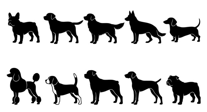 Dog Breed Silhouette Collection Set &ndash; French Bulldog, Labrador, Golden Retriever, German Shepherd and More Vector Illustration