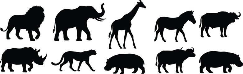 African Wildlife Animal Silhouette Set with Lion Elephant Giraffe Rhino Hippo and Buffalo Collection © Md Ohidul