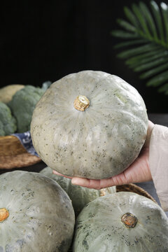 Fresh Silver Crown Prince Squash in Hand - Organic Winter Vegetable with Sweet Flesh