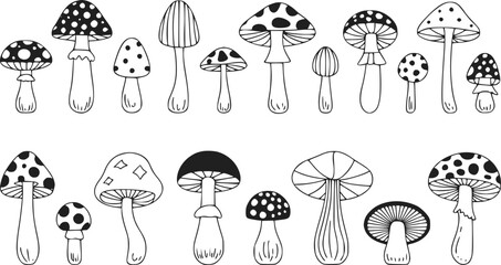 白黒スタイルで描かれた、さまざまな形や模様を特徴とする手描きのキノコのコレクション © Papri_stock