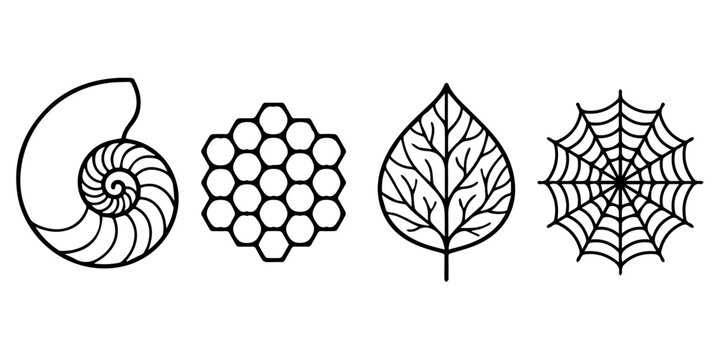 Bio Inspired Design Large Line Icons Set &ndash; Black Clean Outline Biomimicry and Organic Architecture Symbols